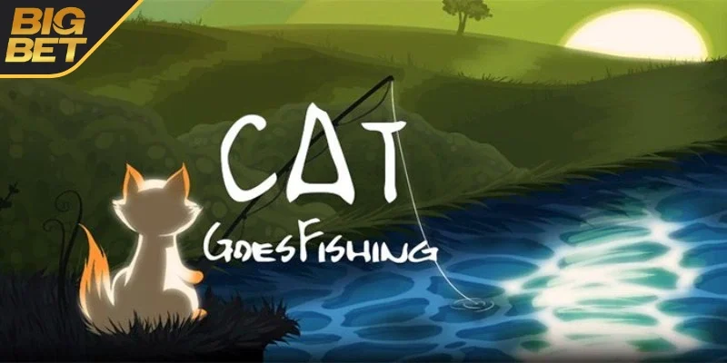Đôi nét về mèo câu cá