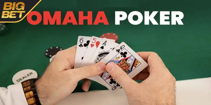 Tham khảo luật chơi cơ bản